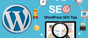 seo wordpress