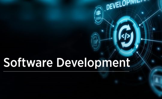 Software development